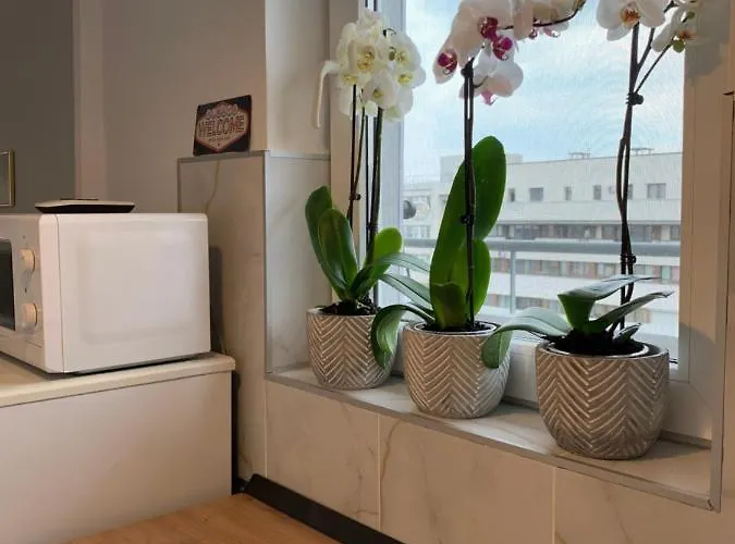 Ultracentral Cozy Apartment Near University