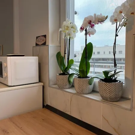 Ultracentral Cozy Apartment Near University